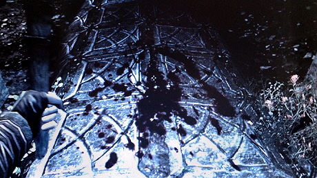 12011003.jpg