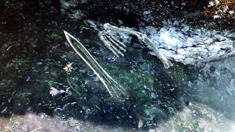 12012708.jpg