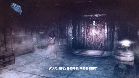 12031604.jpg