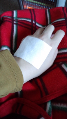 13011501.jpg