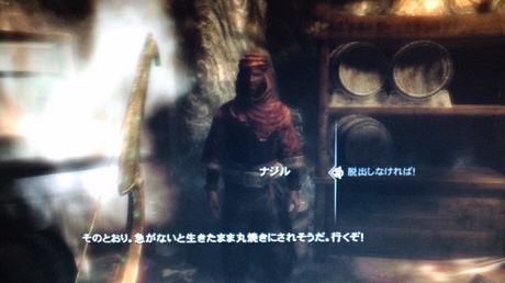 13032205.jpg