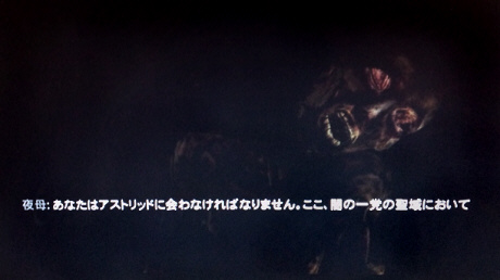 13032207.jpg