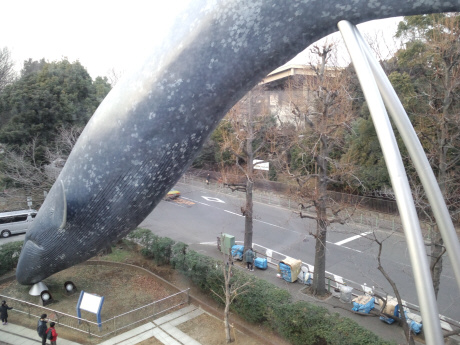 14020306.jpg